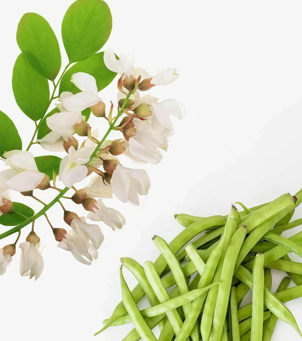 Prebiotic