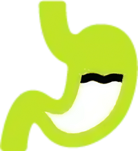 Felt their overall digestion was smoother